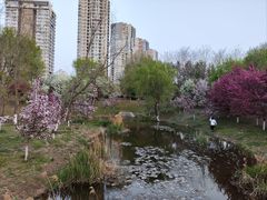 -长白岛森林公园