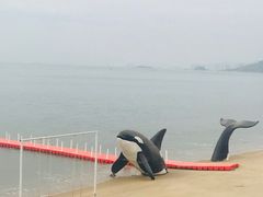 -碧桂园十里银滩