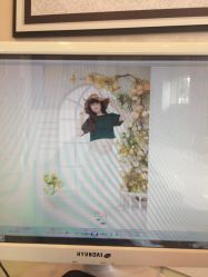 点击看大图 -苏菲亚婚纱影楼尊爵店(昆区店)