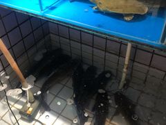 -泉味道贵州厨房(三里河店)