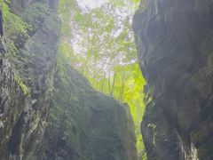 -牛背梁国家森林公园