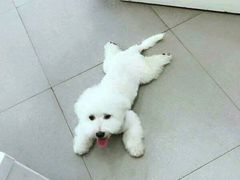 -佳百利宠物(荣乐中路115弄小区店)