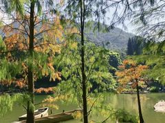 -深圳仙湖植物园