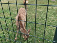 -上海交通大学(闵行校区)