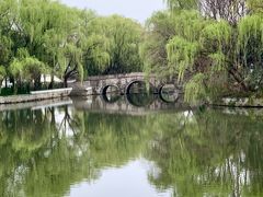 -鲁镇
