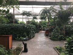 -汤山翠谷生态餐厅