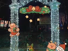 -枫花园汽车电影院(朝阳公园店)