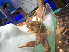 -乔哥铭洋海鲜自助(皇城恒隆广场店)