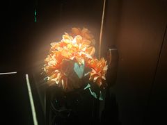 -水云阁·5D影院足浴·SPA(高新店)