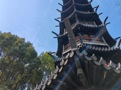 -上海佘山国家森林公园西佘山园