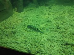 -上海长江河口科技馆