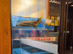 -西郊竹园甲鱼面(老一中店)