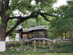-江心屿景区