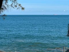 -广东惠东海龟国家级自然保护区