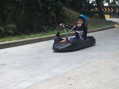 -圣淘沙天际线斜坡滑车