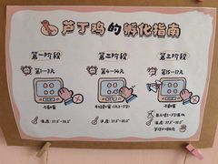 -伊顿幼儿园(济南大地锐城校区)