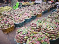 -三亚新鸿港水果一级批发市场