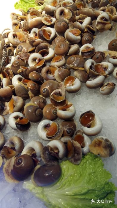 享遇牛排海鲜自助餐厅蜗牛图片 - 第1张