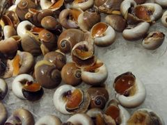 蜗牛-享遇.锅姥姥牛排海鲜自助(小寨店)