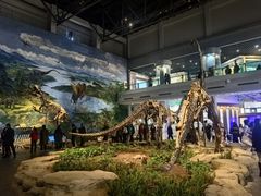 -自贡恐龙博物馆