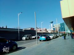 -北京民族园葉子里酒店(鸟巢店)