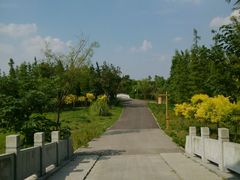 -梁鸿国家湿地公园