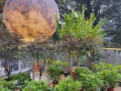 -恬阿姨庭院餐厅·生日宴