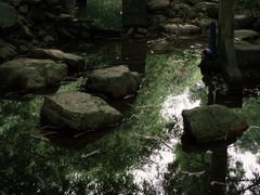 -中国科学院华南植物园