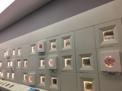 -中国茶叶博物馆(双峰馆区)