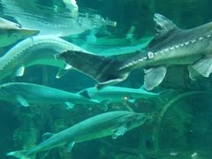 -华夏文旅海洋公园