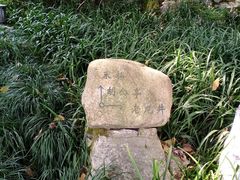 -十八棵（老龙井）御茶园(老龙井店)