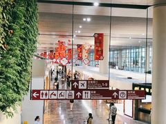 -中免(澳门机场免税店)