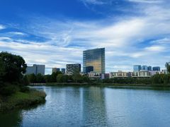 -大兴滨河森林公园