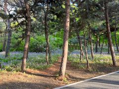 -北陵公园