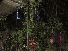 -仪表厂火锅(总店)