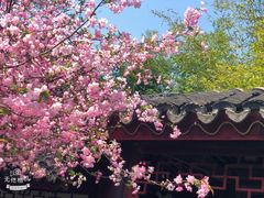 -荆川公园