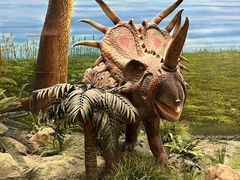 -辽宁古生物博物馆