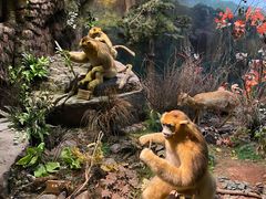 -陕西自然博物馆