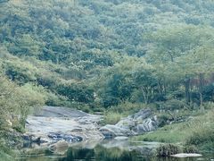 -武汉姚家山旅游景区