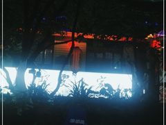 -晓雯人家