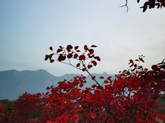 -周口店坡峰岭风景区