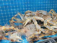 -醉壹号海鲜大排档(厦门美食地标店)