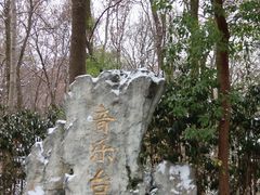 -音乐台