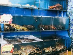 水产区-蚝专家(北滘店)