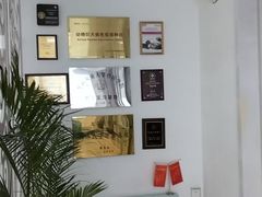 -北京观赏动物医院·24小时大型综合·猫专科·异宠专科