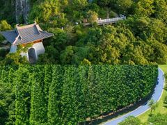 -宜兴龙背山森林公园