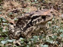 -七彩云南古滇温泉山庄