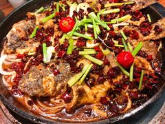 -老板恋上鱼(振华商厦店)