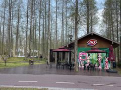 -黄海国家森林公园