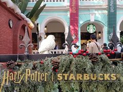 -星巴克臻选(广州沙面店)